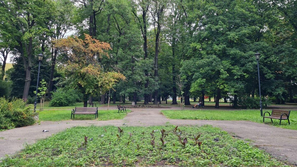 Park Bronowicki doczeka się remontu. Poszukiwany jest jego wykonawca Park Bronowicki doczeka się remontu. Poszukiwany jest jego wykonawca