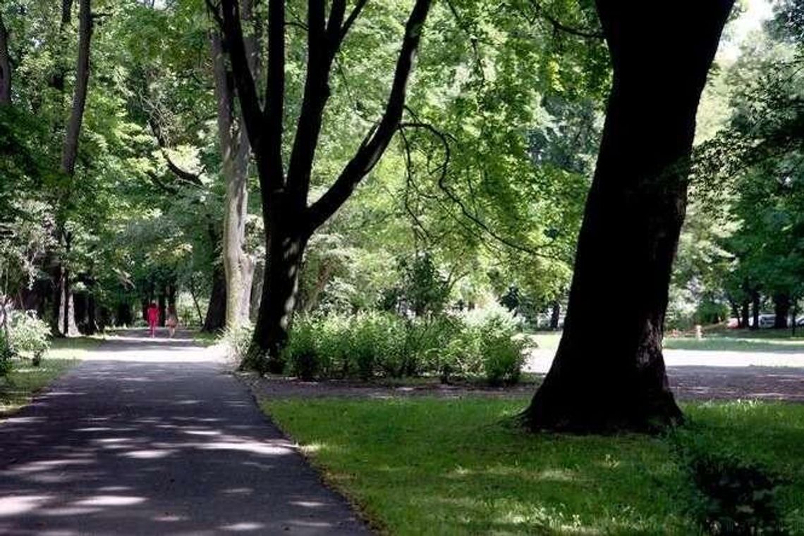 Park Bronowicki ma szansę na rewitalizację