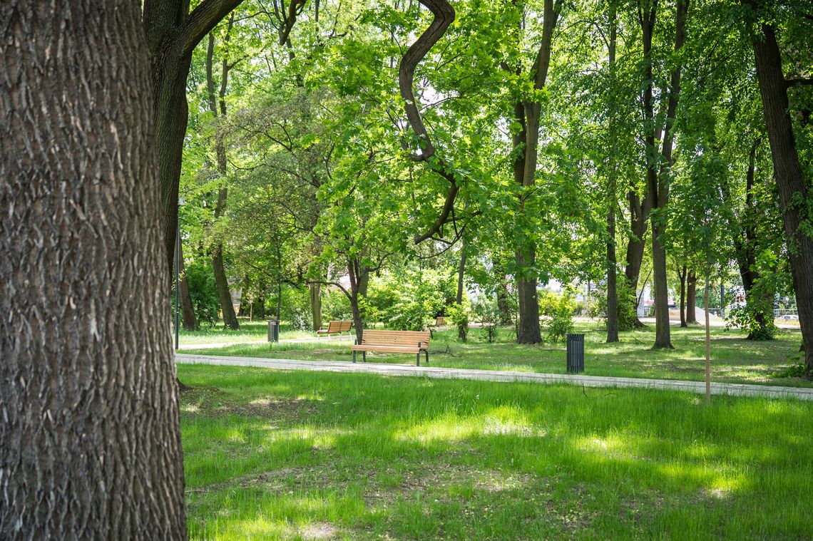Park Bronowicki po rewitalizacji. Wielkie otwarcie już w przyszły weekend Odnowiony Park Bronowicki w Lublinie po zakończonej rewaloryzacji. W parku powstały nowe alejki, nasadzenia zieleni oraz miejsca do wypoczynku dla mieszkańców.