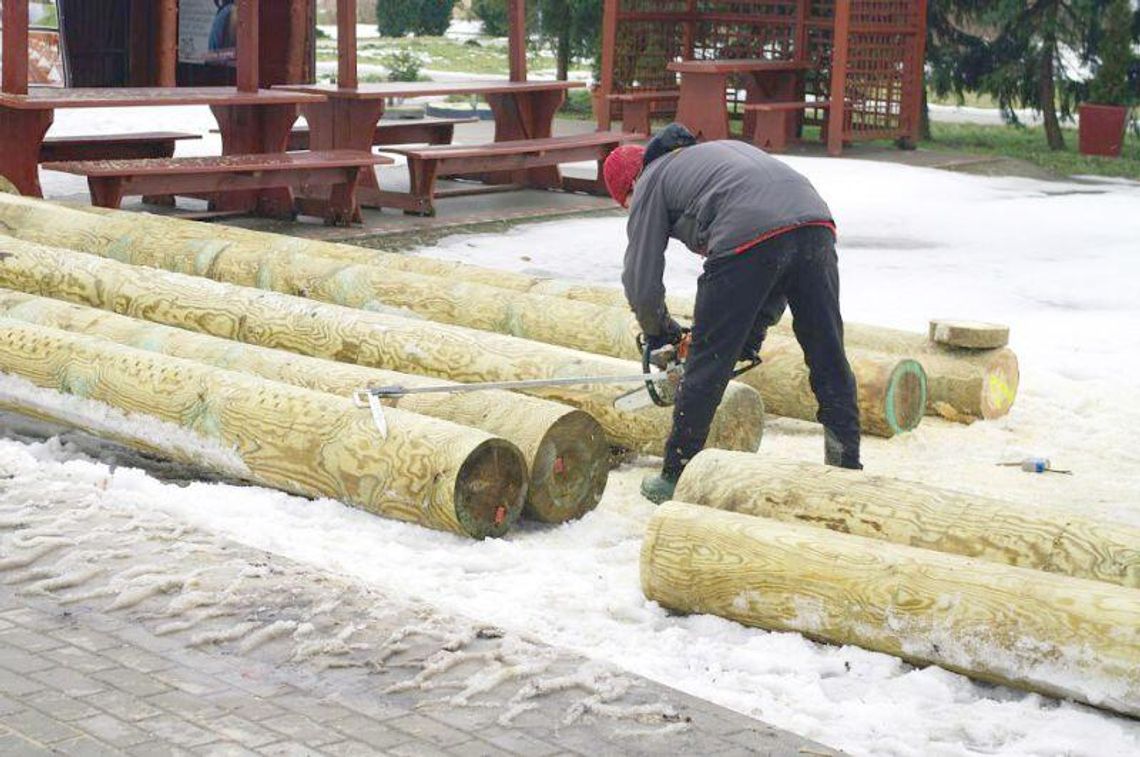 Park linowy w Zoo na wiosnę