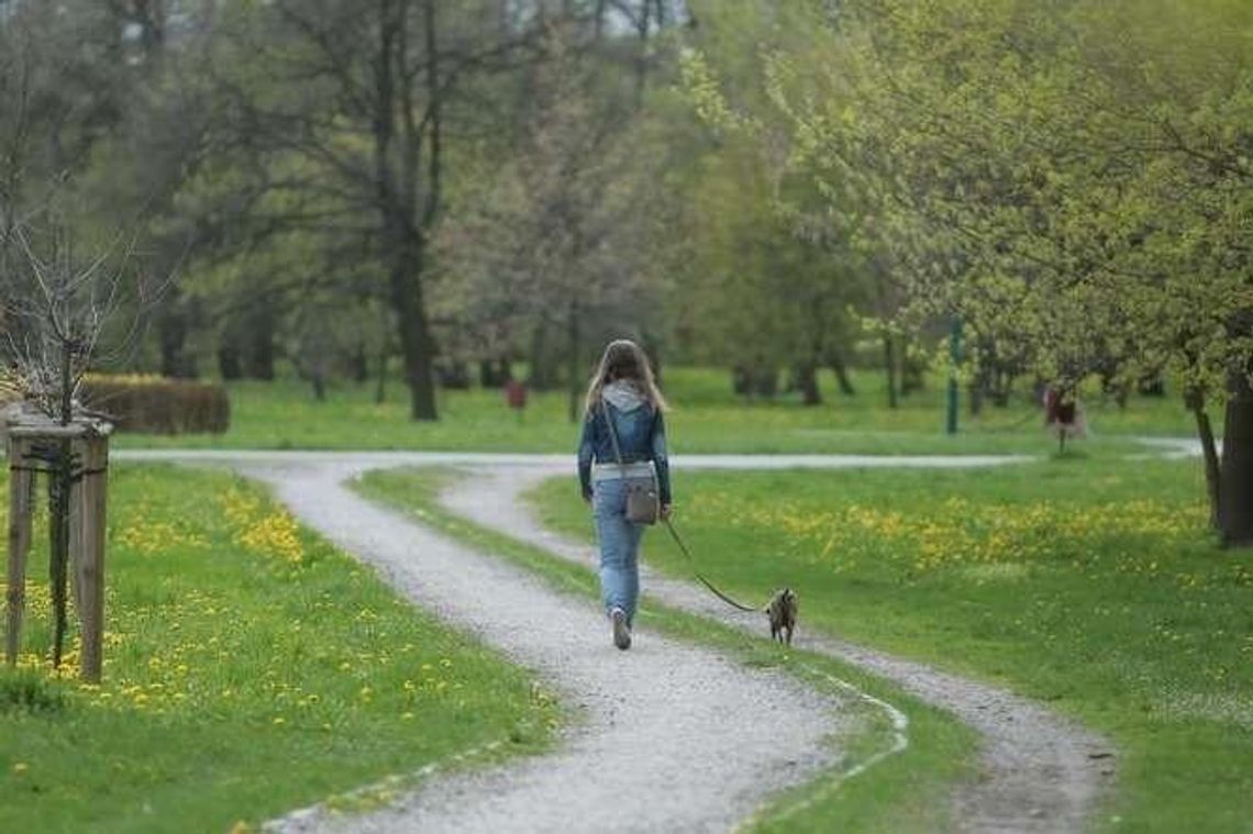 Park Ludowy do przebudowy. Wkrótce przetarg na projekt. Co się zmieni? Park Ludowy do przebudowy. Wkrótce przetarg na projekt. Co się zmieni?