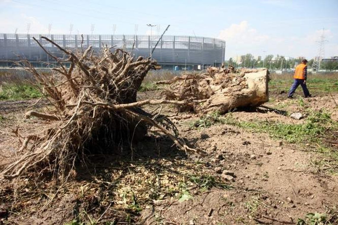 Park Ludowy: Drzew nie ma, droga do stadionu wolna