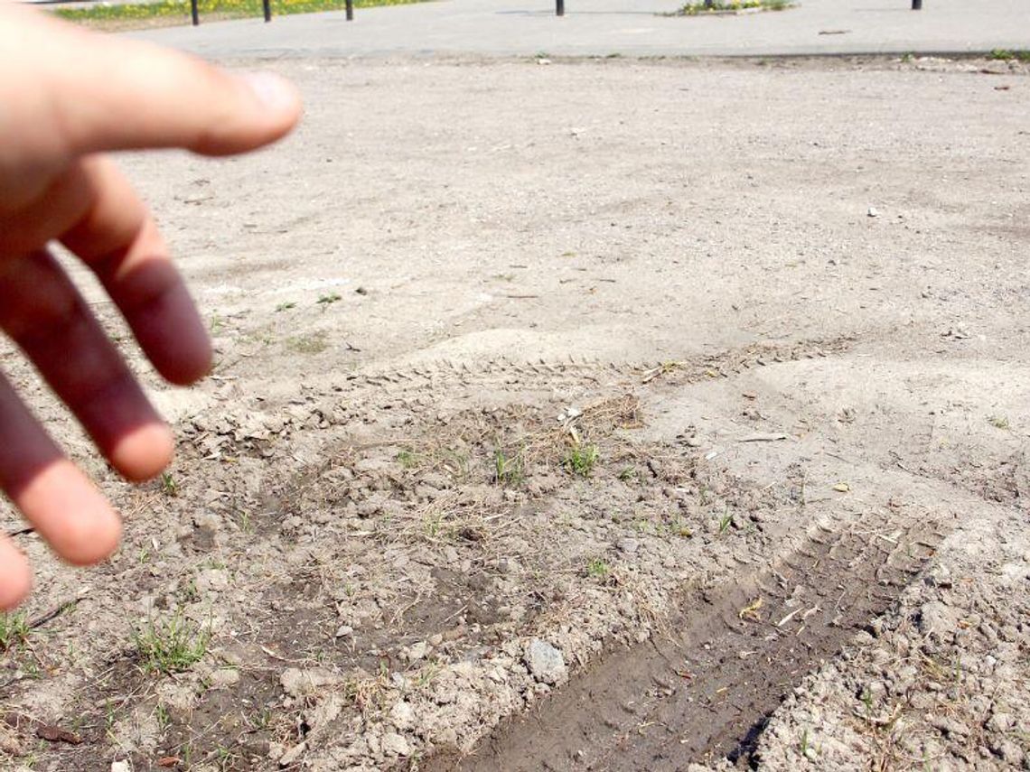 Park Ludowy: Nie będzie kar za rozjeżdżanie trawników Park Ludowy: Nie będzie kar za rozjeżdżanie trawników