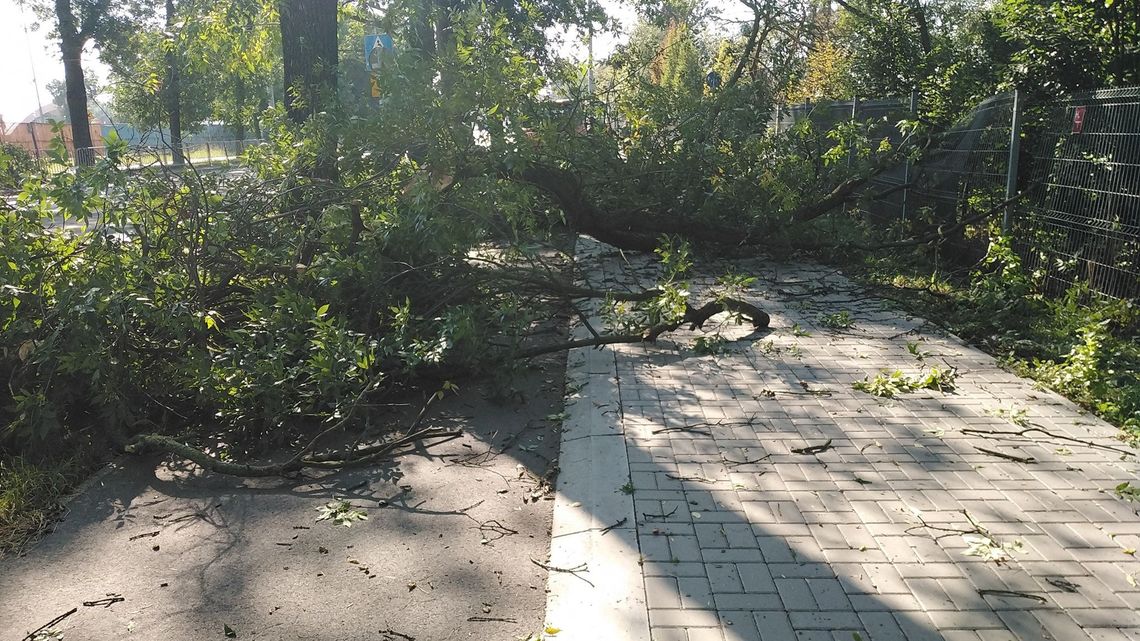 Park Ludowy w Lublinie. Połamane gałęzie, powalone drzewa [zobacz]
