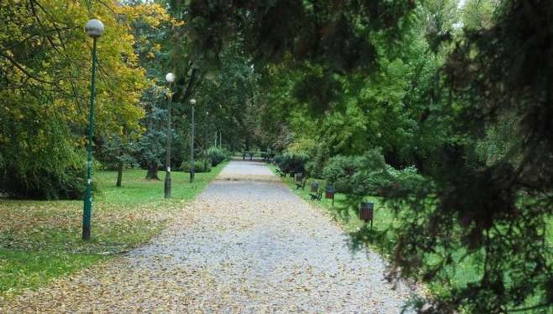 Park Ludowy znów za drogi. Przebudowa pod znakiem zapytania