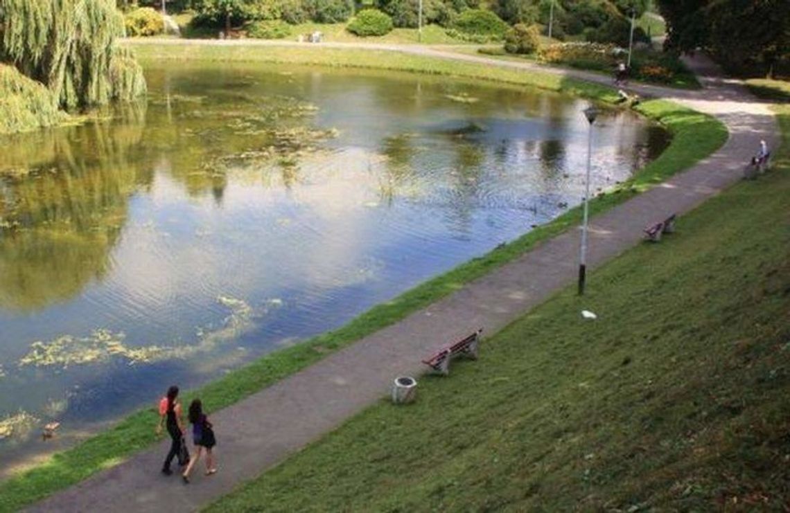 Park Miejski w Zamościu. Wyłowili karpie, będzie lodowisko