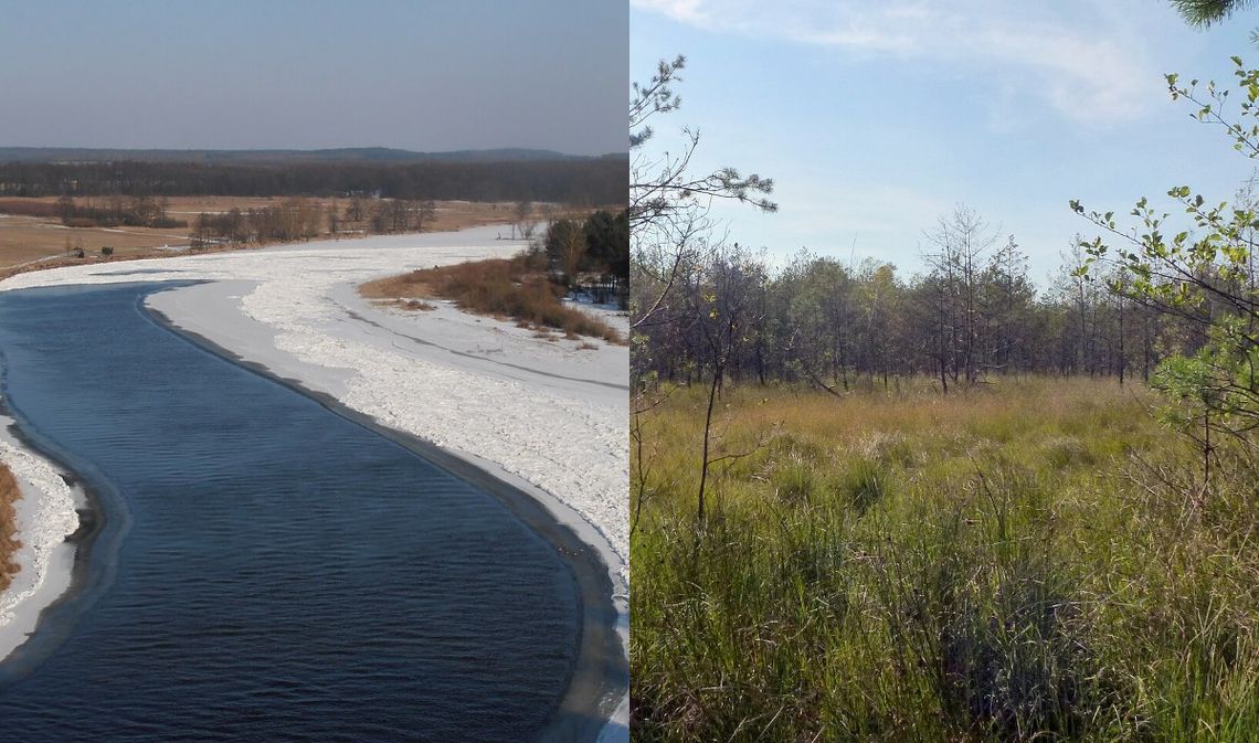 Park na Roztoczu „skurczy się” o 584 hektary. Nowe granice i zakazy nad Bugiem Park na Roztoczu „skurczy się” o 584 hektary. Nowe granice i zakazy nad Bugiem