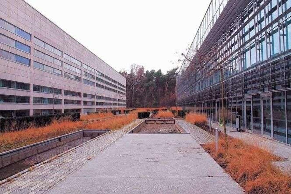 Park naukowo-technologiczny ze stratą 330 tys. zł. "Ten ujemny wynik jest zastraszający"