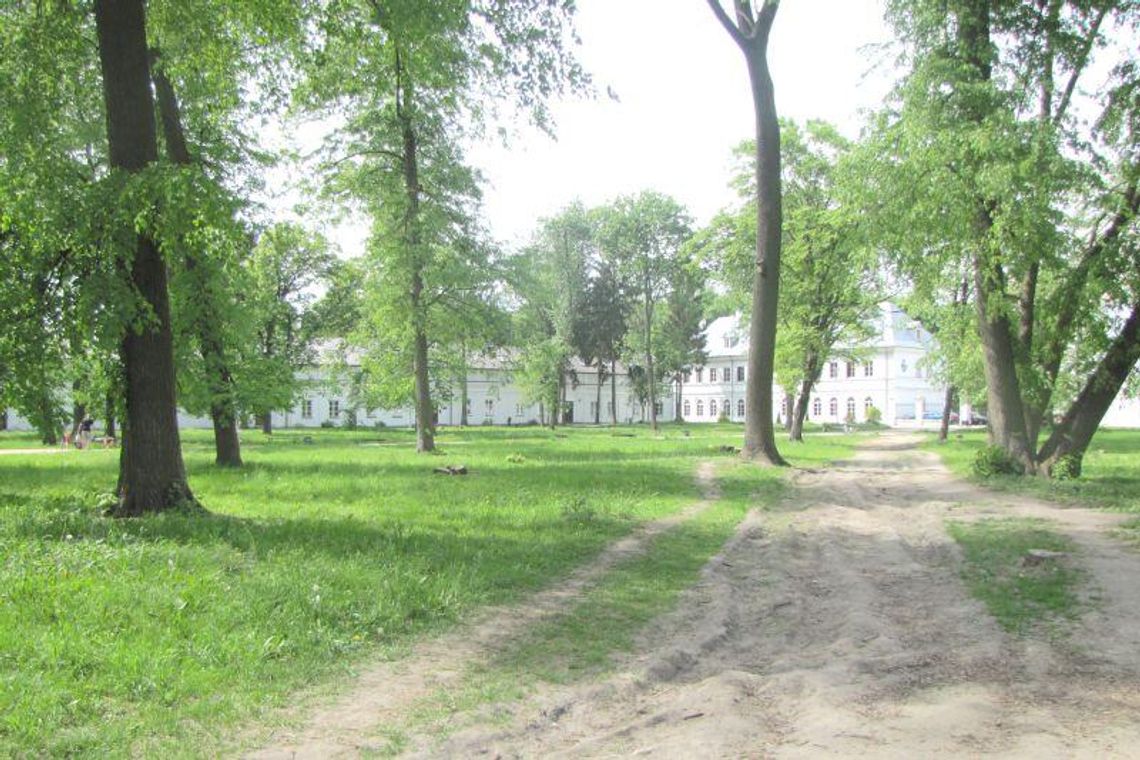 Park Radziwiłłów: Będzie labirynt z żywopłotu i fontanna