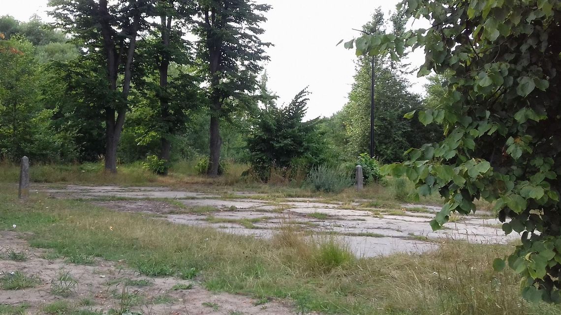 Park Rolkarza w Biłgoraju wreszcie może powstać. Ale radni muszą dołożyć