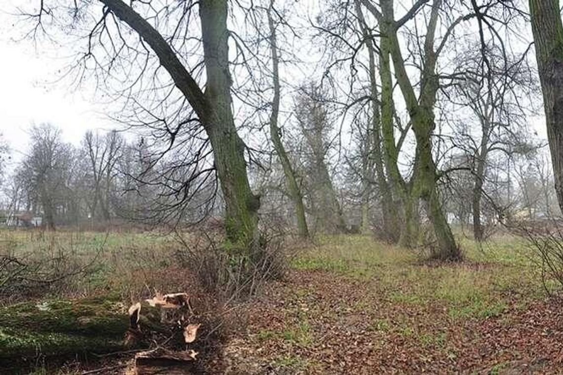 Park w Łęcznej zakwitnie po włosku. To będzie całkowita metamorfoza