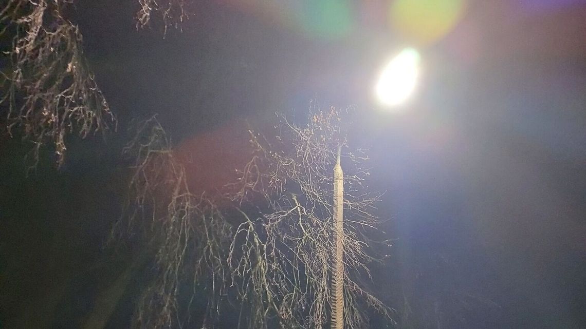 Parkowanie już nie po ciemku. Kolej postawiła latarnię Parkowanie już nie po ciemku. Kolej postawiła latarnię