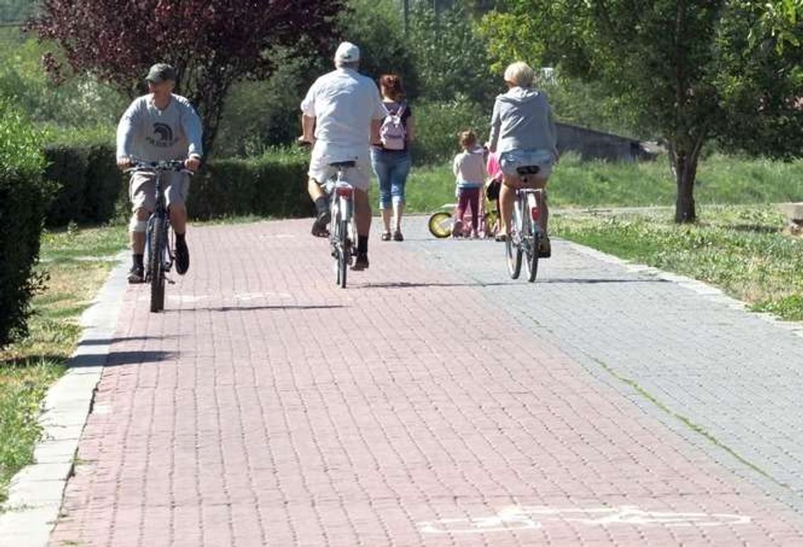 Pasy na ścieżce rowerowej wzdłuż Bystrzycy jednak nie tak szybko Pasy na ścieżce rowerowej wzdłuż Bystrzycy jednak nie tak szybko