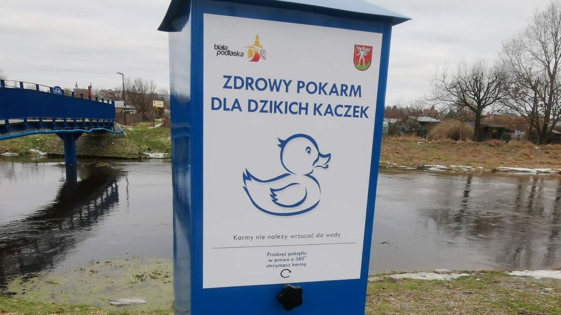 Pasza dla bialskich kaczek? Od teraz z automatu Pasza dla bialskich kaczek? Od teraz z automatu