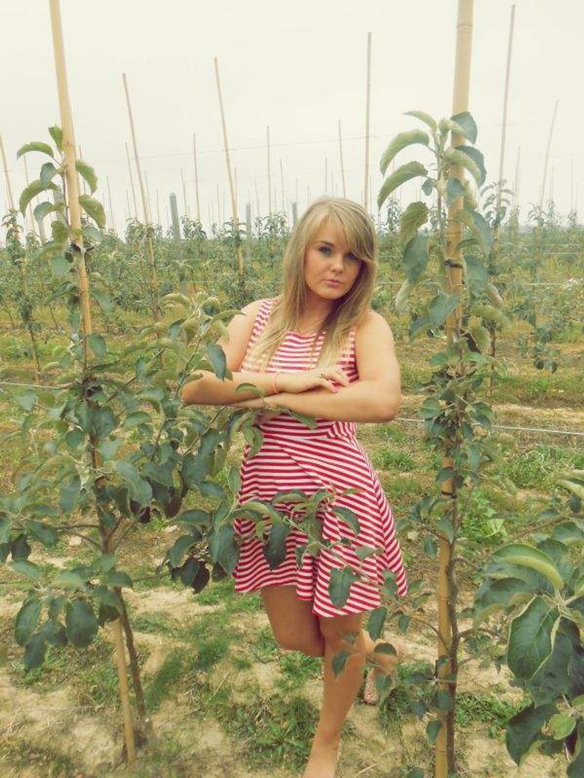 Patrycja Łukaszewska, Lechówka w powiecie chełmskim Patrycja Łukaszewska, Lechówka w powiecie chełmskim