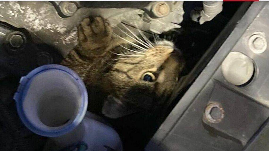 Patrz pod maskę! Możesz znaleźć tam takiego gościa Patrz pod maskę! Możesz znaleźć tam takiego gościa