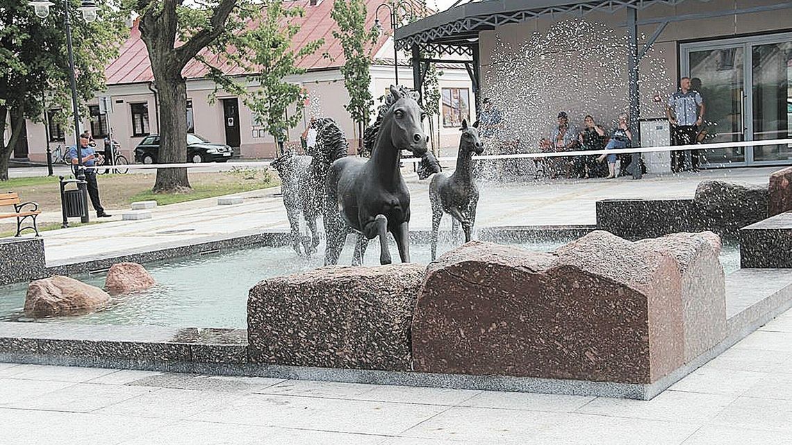 Pędzą konie po betonie, czyli betonoza po janowsku. "To doskonale ilustruje oderwanie władzy od rzeczywistości" Pędzą konie po betonie, czyli betonoza po janowsku. "To doskonale ilustruje oderwanie władzy od rzeczywistości"