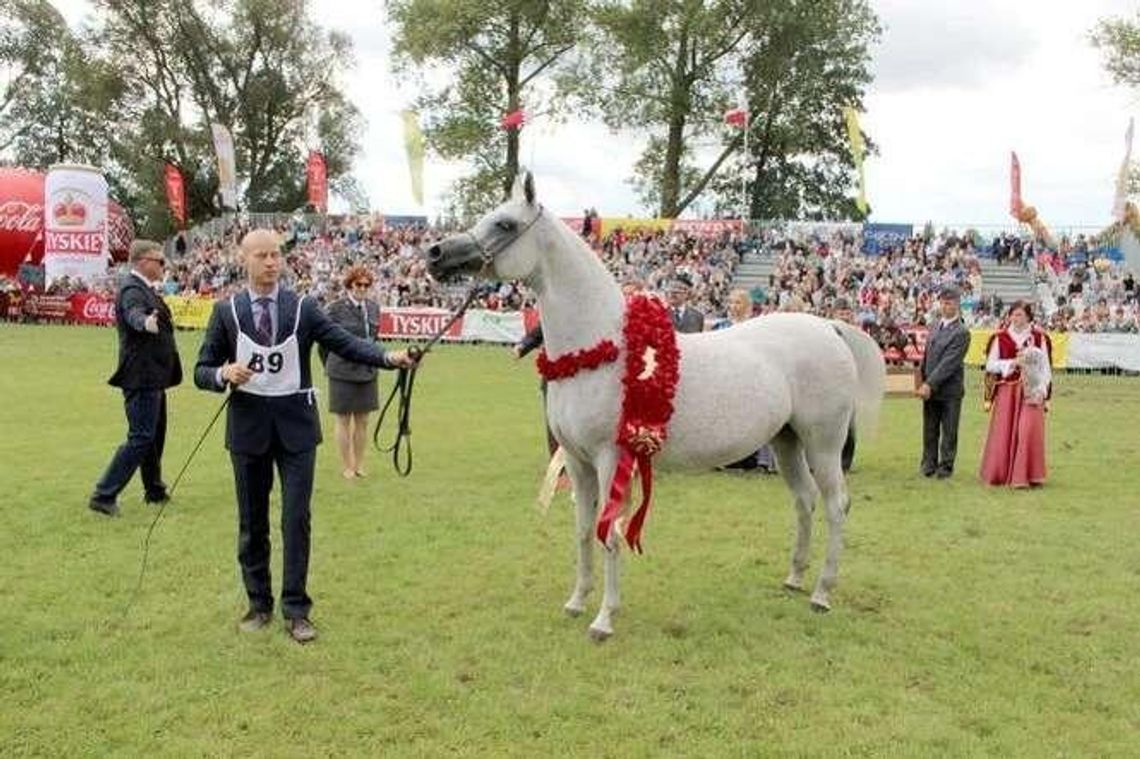 Pepita gotowa na aukcję. Czy jest warta więcej niż milion euro?
