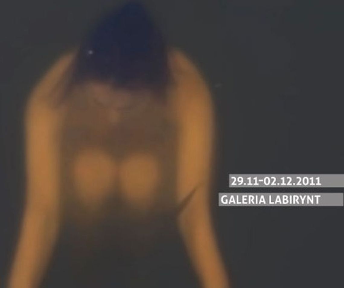 Performance Platform Lublin 2011 (program)