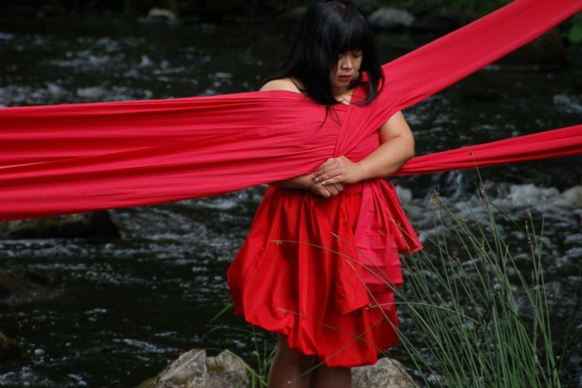 Performance Platform Lublin 2012 (program)