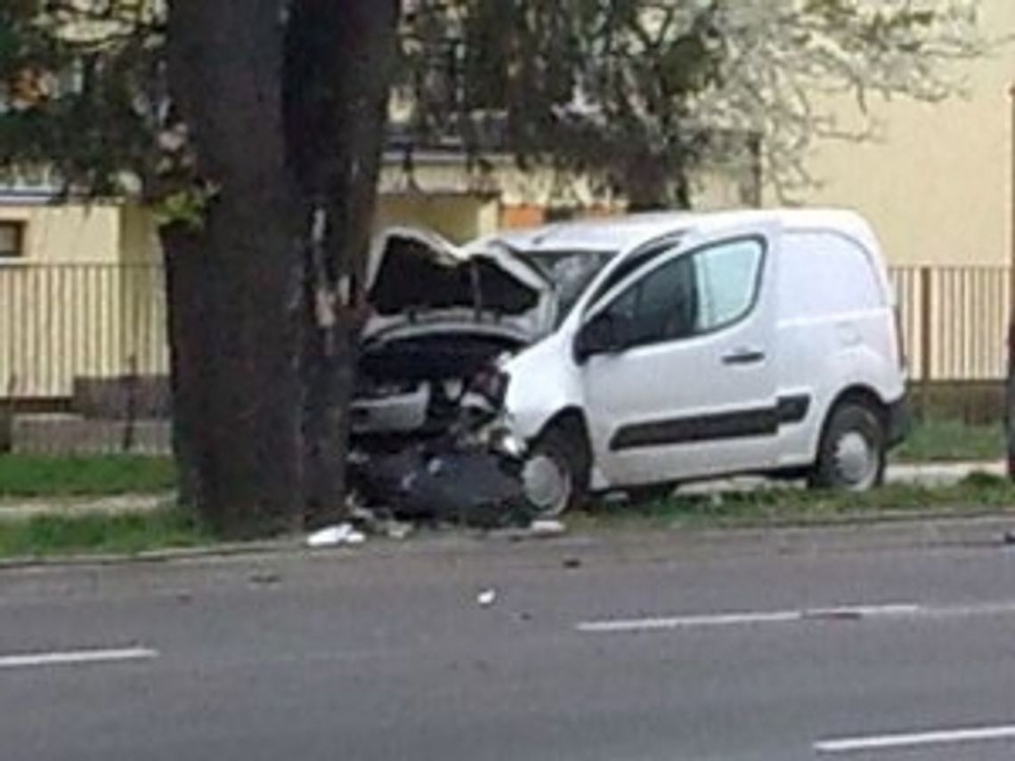 Peugeot rozbił się na drzewie w centrum Zamościa