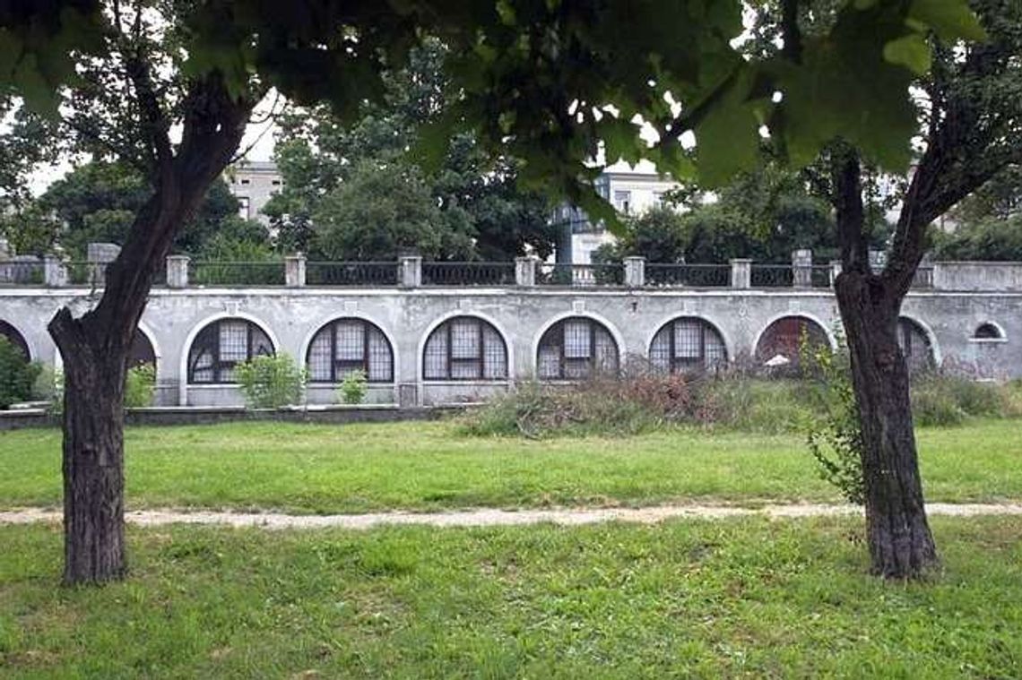 Pięć lat temu wycięto blisko 80 drzew, a budowa nadal nie ruszyła. Alchemia ma być mniejsza Pięć lat temu wycięto blisko 80 drzew, a budowa nadal nie ruszyła. Alchemia ma być mniejsza