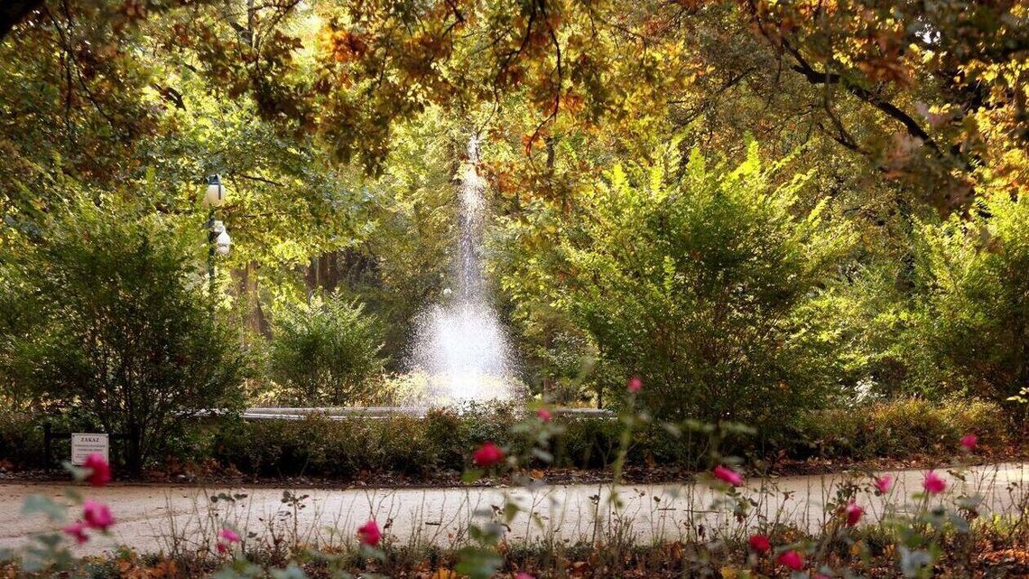 Piękna złota jesień w Lublinie. Ogród Saski tętni kolorami Piękna złota jesień w Lublinie. Ogród Saski tętni kolorami
