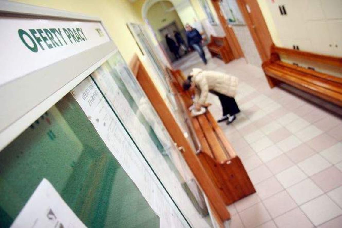 Pieniądze dla bezrobotnych w woj. lubelskim. Trwają nabory na szkolenia, staże i dotacje