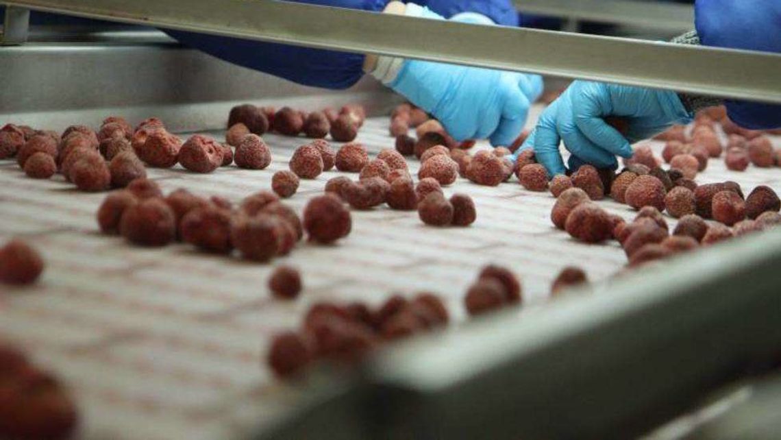 Pieniądze dla rolników na rozkręcenie biznesu. Są dotacje na małe przetwórstwo