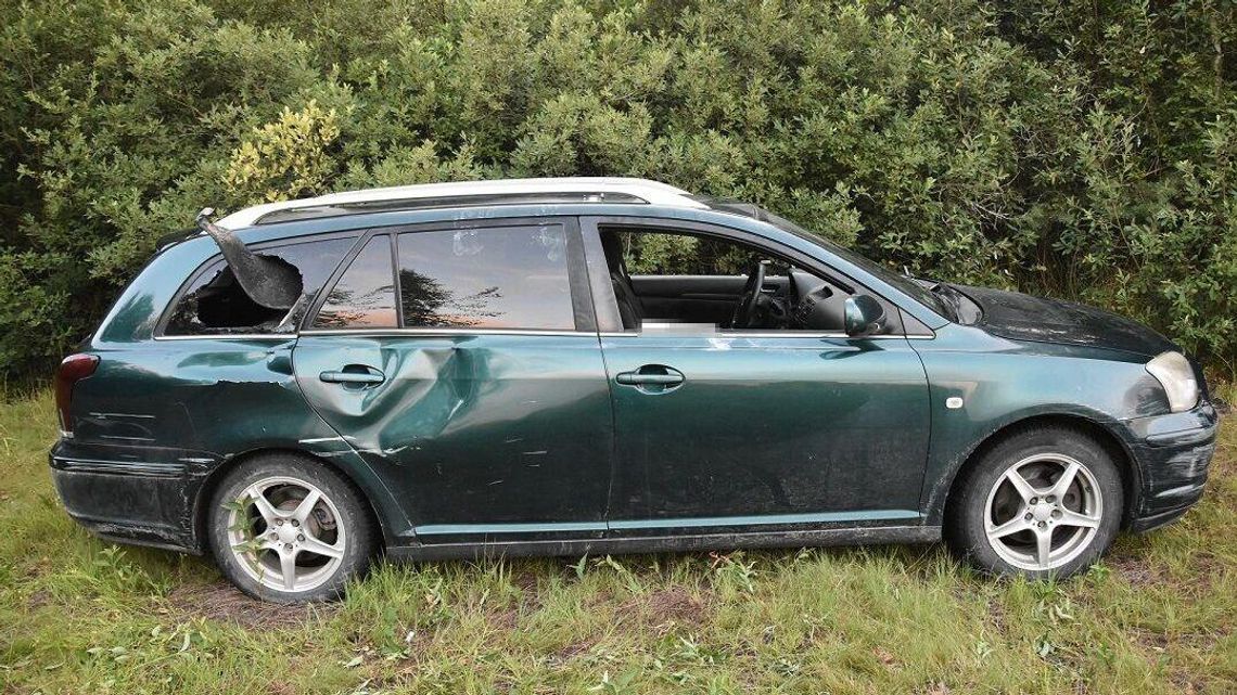 Pierwszą szybę wybił przez przypadek, pozostałe... bo świetnie się bawił