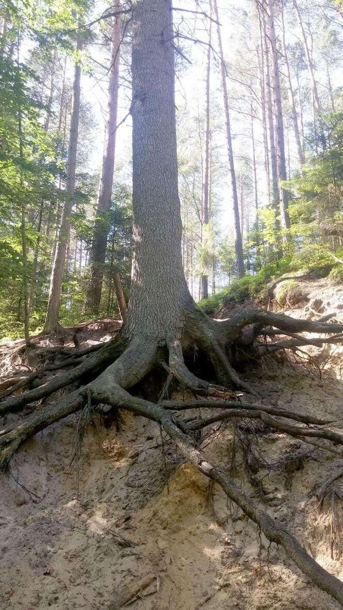 Pierwsza taka mapa Roztocza. Od Kraśnika aż do Lwowa