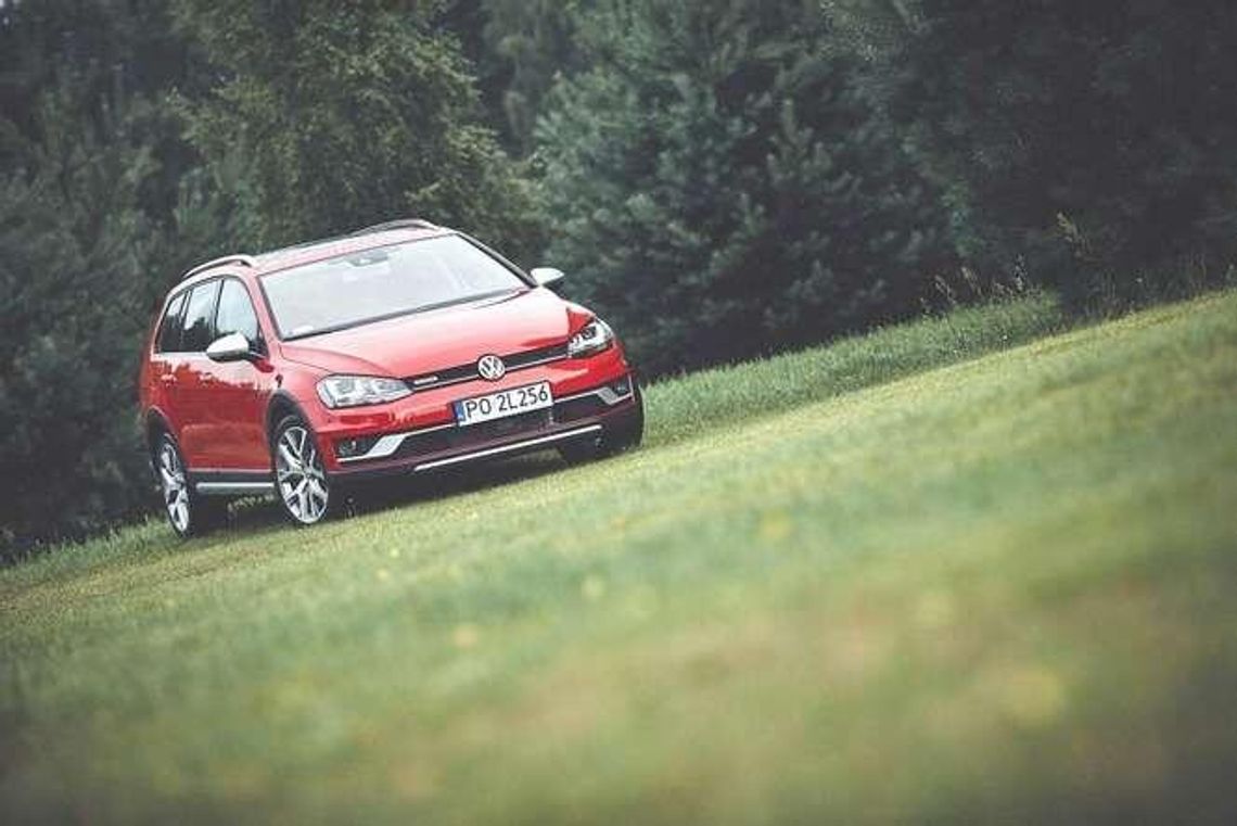 Pierwsze golfy do serwisów