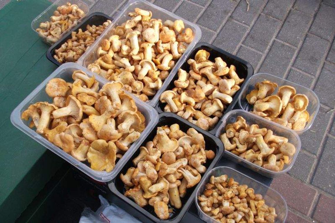 Pierwsze grzyby na targowiskach w regionie