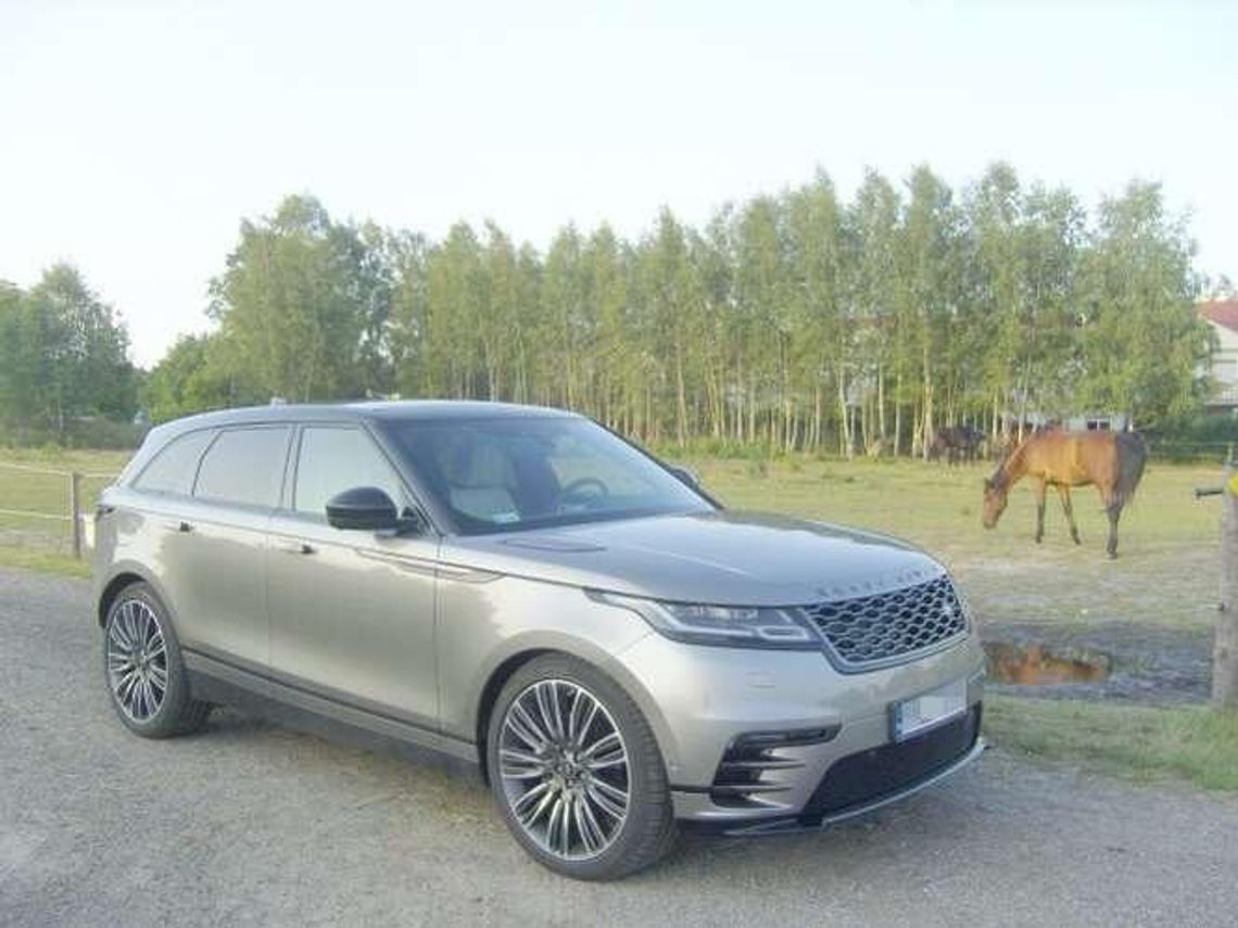 Pierwsze kuszenie velara