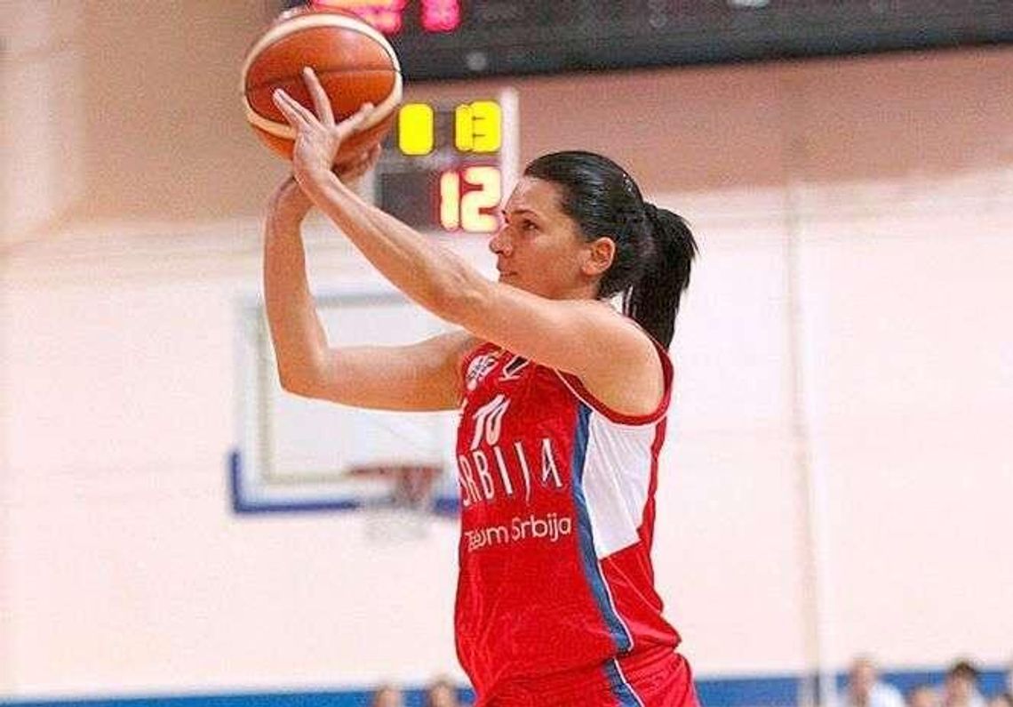 Pierwsze transfery Pszczółki AZS UMCS Lublin. Mistrzyni Europy na pokładzie!