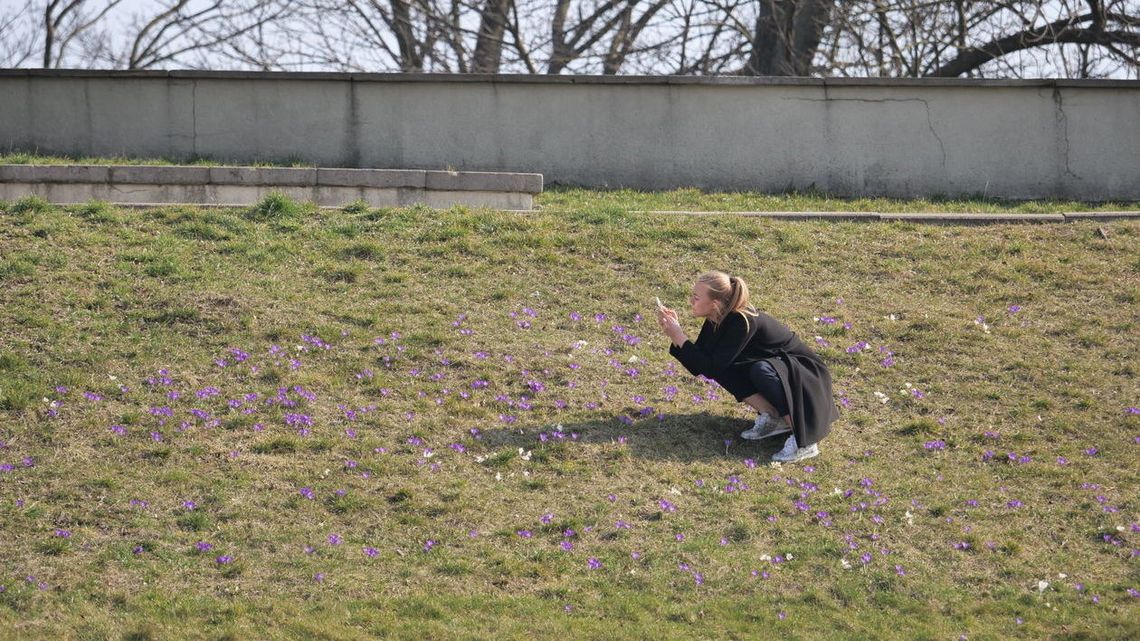 Pierwszy dzień wiosny 2021. Pokażcie to na zdjęciach 