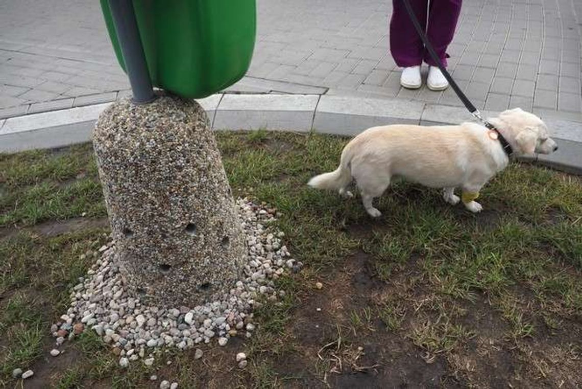 Pierwszy piesuar w mieście. "Misiek już przetestował. Jest OK" Pierwszy piesuar w mieście. "Misiek już przetestował. Jest OK"