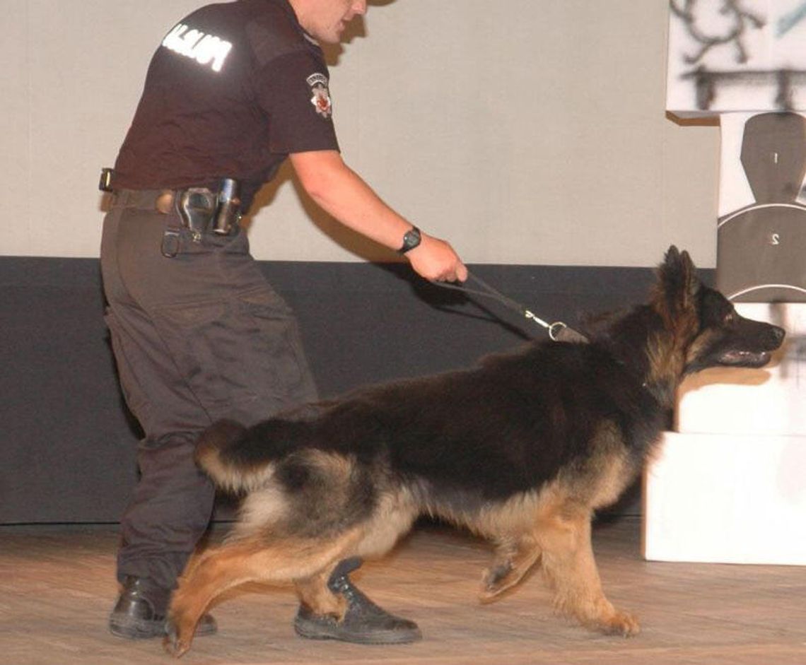 Pies Fuks doprowadził policję do włamywacza