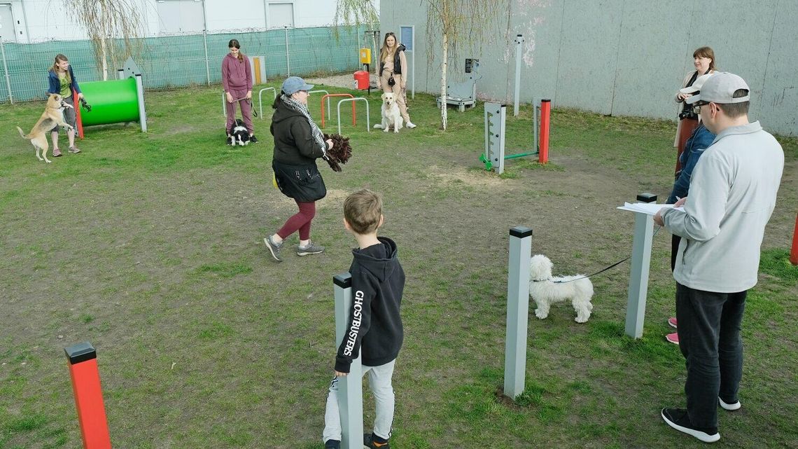 Pies i ty, czyli jak się dogadać, żeby było miło. Otwarcie sezonu w Strefie Psa