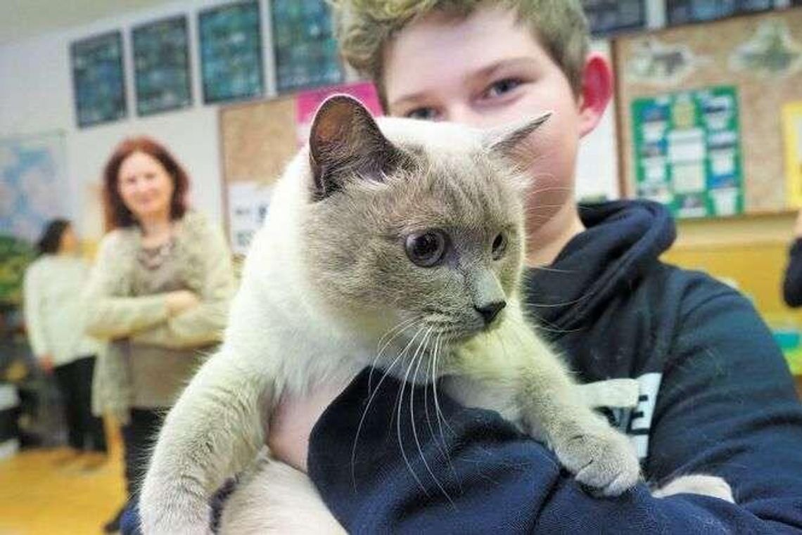 Pies oswaja, kot reklamuje. Tak promuje się SP nr 22 w Lublinie