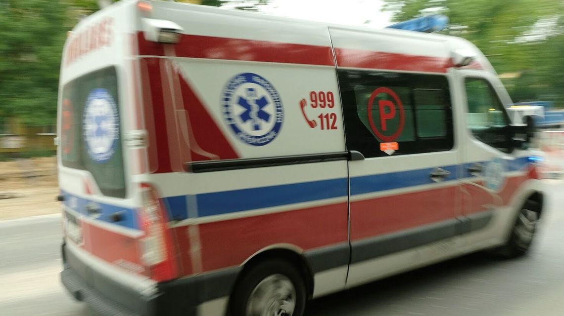 Pies zaatakował nastolatkę w Lublinie. Dziewczynka trafiła do szpitala