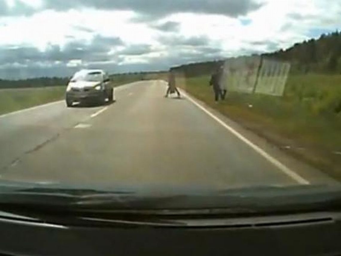 Piesza cudem uniknęła śmierci (wideo)