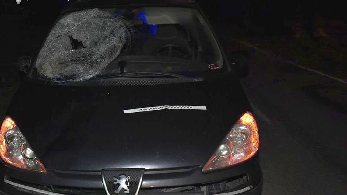 Pieszy zginął na poboczu. Kierowca peugeota wymijał inne auto