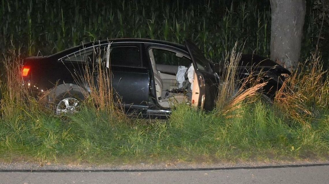 Pijana 19-latka rozbiła się na drzewie