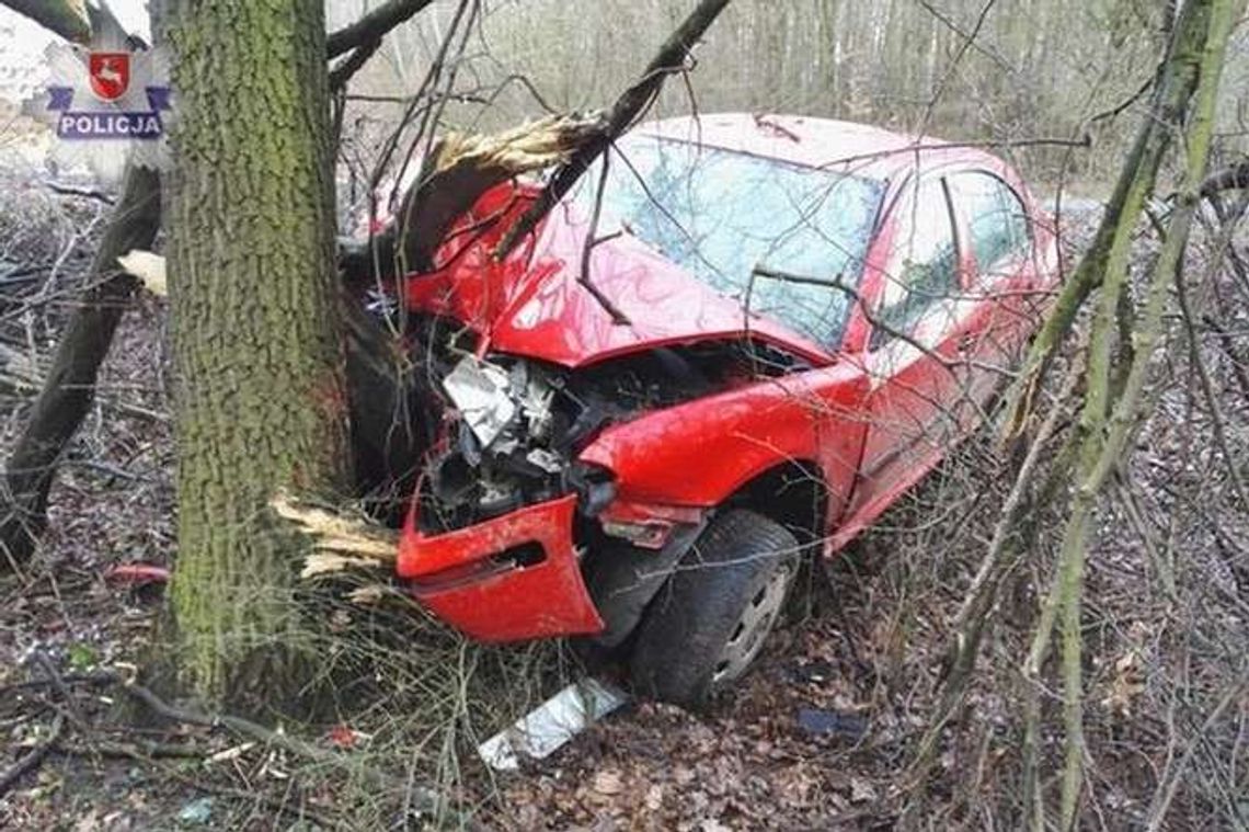 Pijany 19-latek uderzył skodą w drzewo
