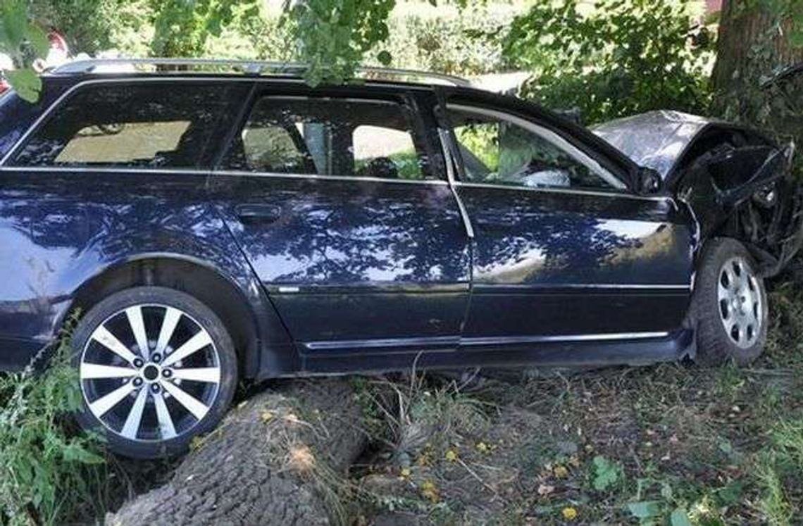 Pijany 26-latek wjechał audi w drzewo 