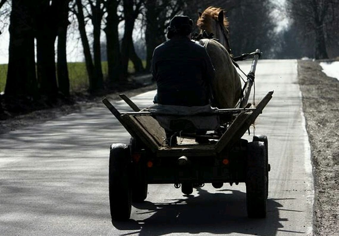 Pijany woźnica wpadł zaprzęgiem na fiata
