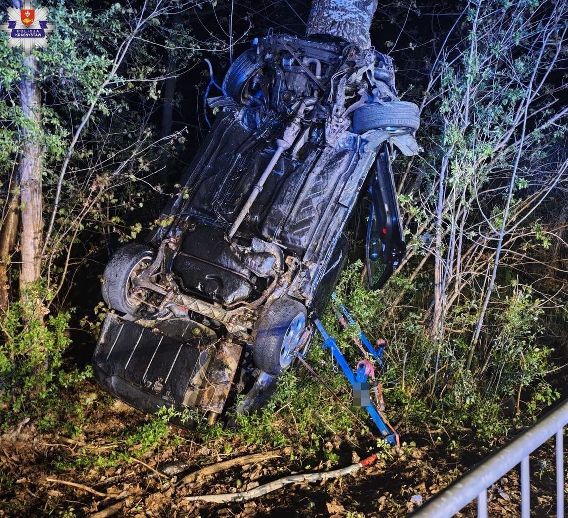 Pijany wsiadł za kółko i zakończył podróż na drzewie