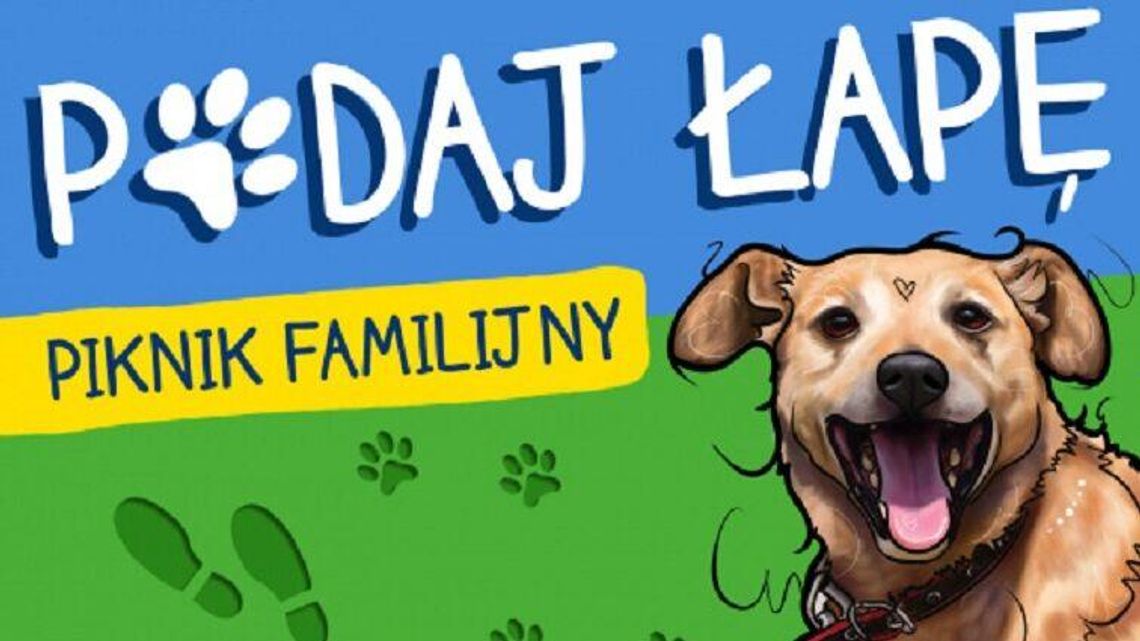Piknik familijny dla wielbicieli psów na rzecz Schroniska dla Bezdomnych Zwierząt w Lublinie