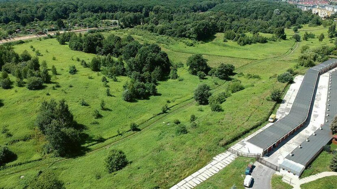 Pilne! Nie będzie dwupasmówki w wąwozie. Stanowcza reakcja prezydenta Lublina